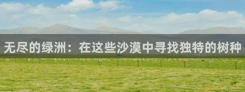 新宝gg 平台怎么样:无尽的绿洲:在这些沙漠中寻找独特的树种