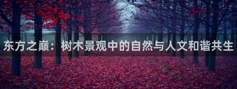 新宝gg娱乐1956:东方之巅:树木景观中的自然与人文和谐共生