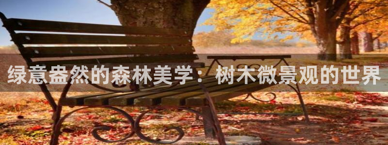 新宝gg 登录:绿意盎然的森林美学:树木微景观的世界