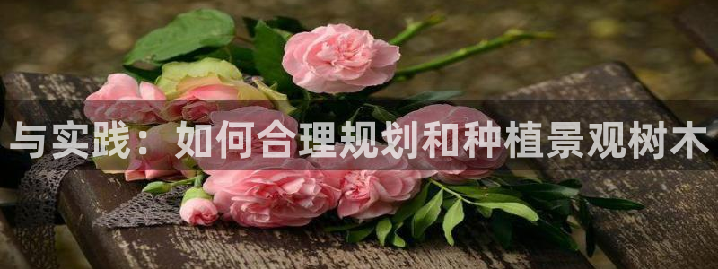 新宝gg创造奇迹平台:与实践:如何合理规划和种植景观树木