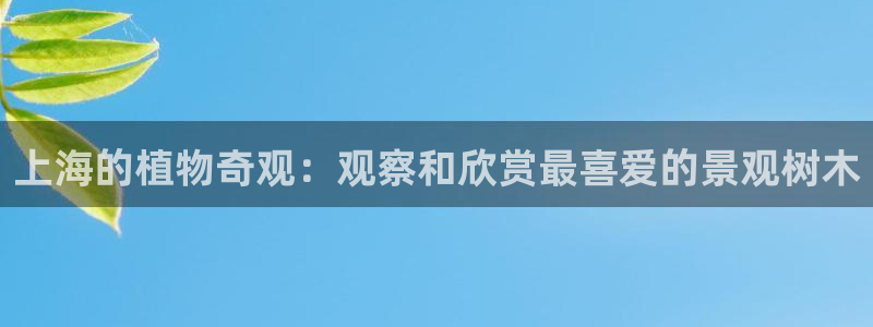 新宝gg平台首页:上海的植物奇观:观察和欣赏最喜爱的景观树木