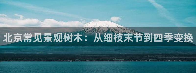 新宝gg注册jhjinde:北京常见景观树木:从细枝末节到四季变换