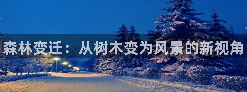 新宝3和新宝gg:森林变迁:从树木变为风景的新视角