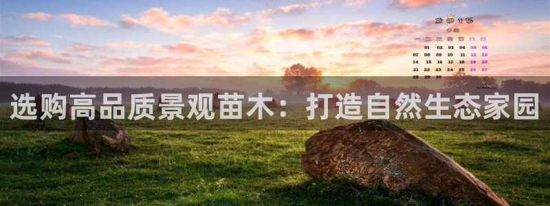新宝gg主管:选购高品质景观苗木:打造自然生态家园
