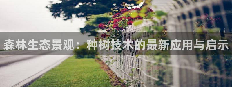 vip新宝gg:森林生态景观:种树技术的最新应用与启示